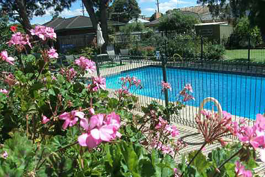 The Pool at Parkwood Motel & Apartments